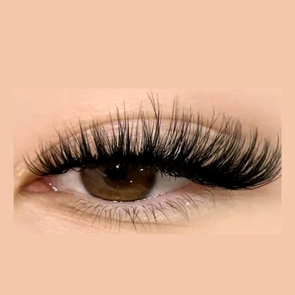 faux cils a coller licosy